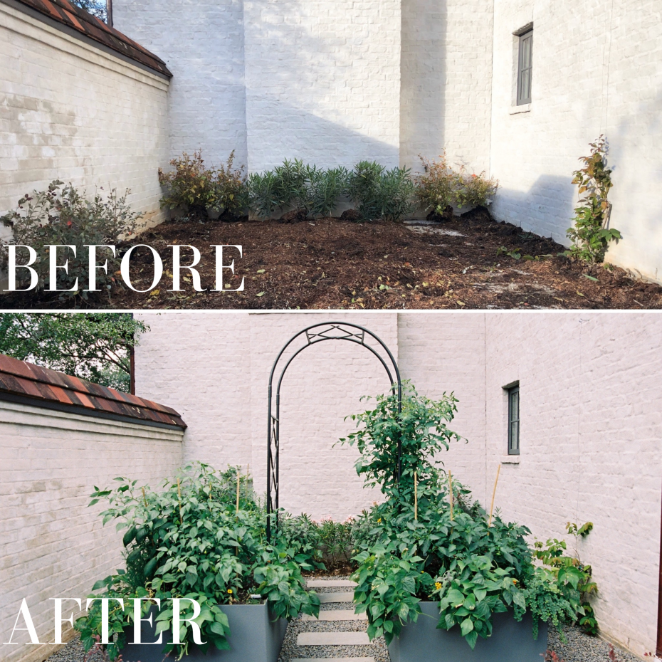 Before After 2